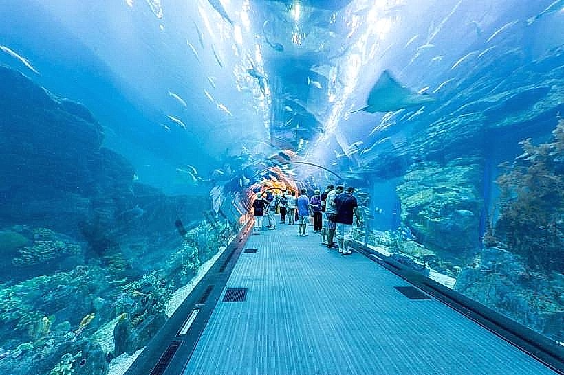 Oman Aquarium