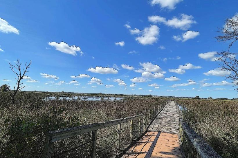 Horicon Marsh Wildlife Refuge