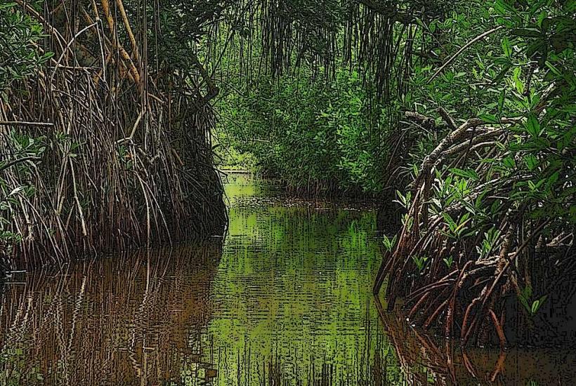 Reserva Natural de la Laguna de Turué