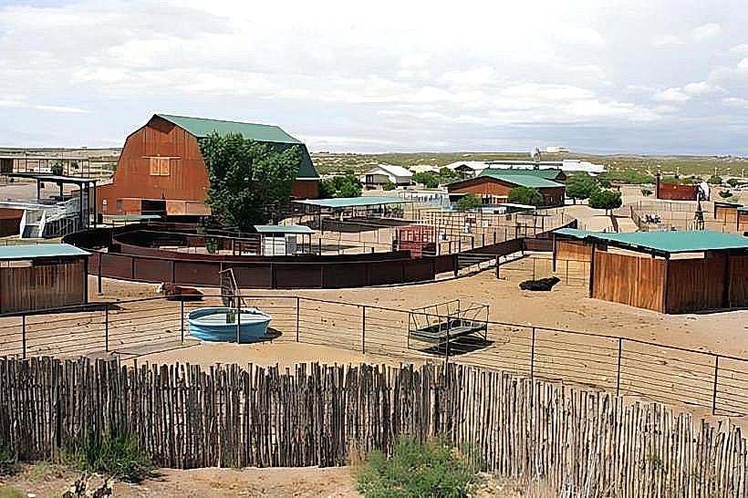 New Mexico Farm and Ranch Heritage Museum