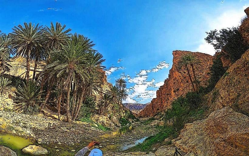 Biskra Oasis