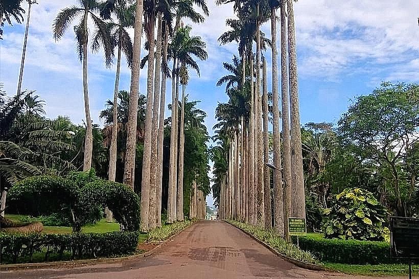 Aburi Botanical Gardens