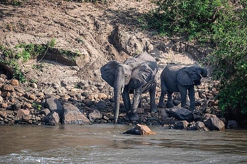 Majete Wildlife Reserve