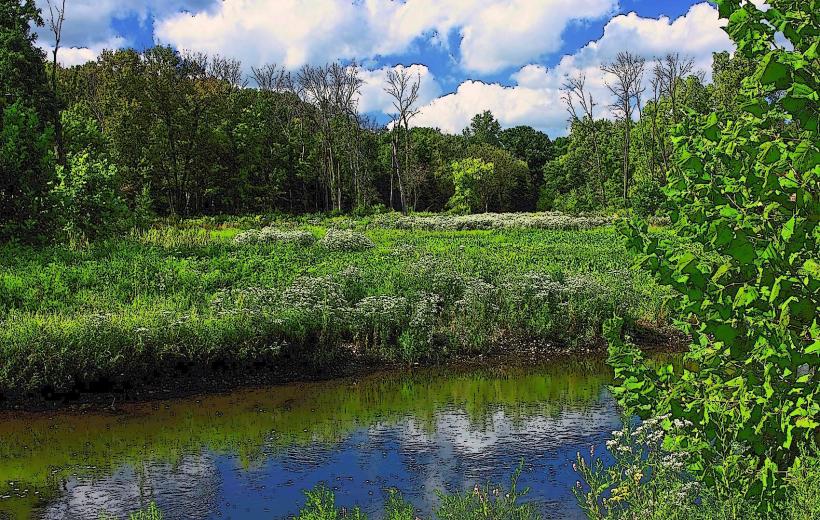 Springbrook Prairie Forest Preserve
