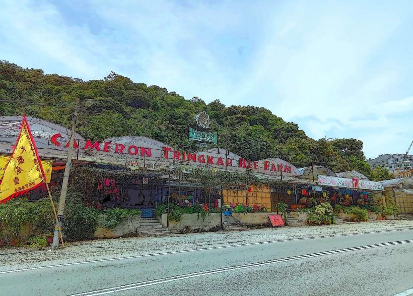 Cameron Tringkap Bee Farm