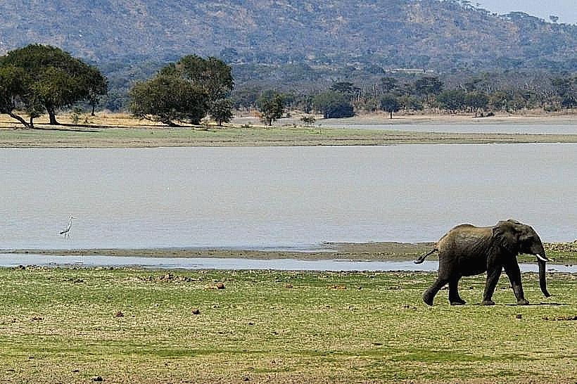 Vwaza Marsh Wildlife Reserve