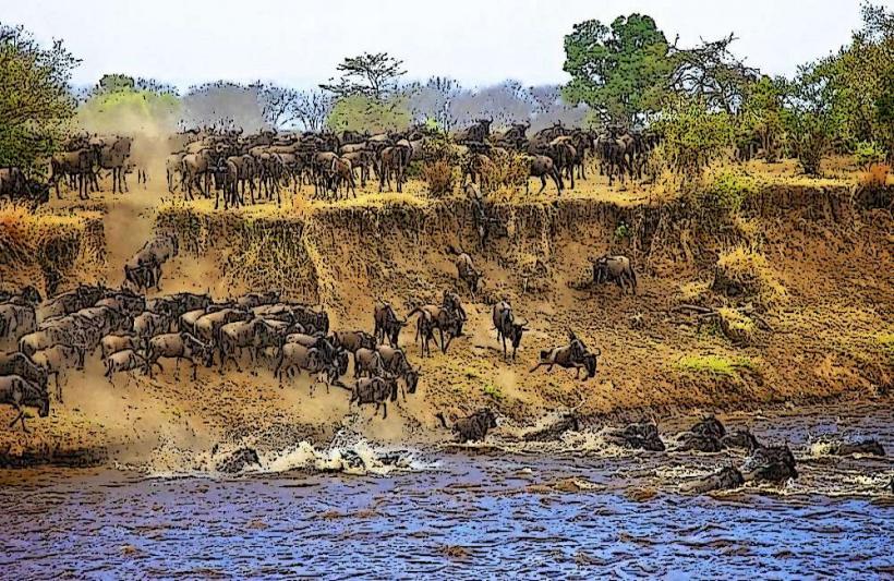 Serengeti Migration Viewing Points