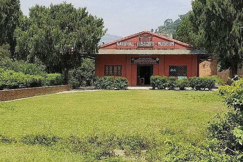 Natural History Museum