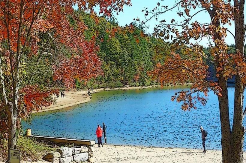 Walden Pond