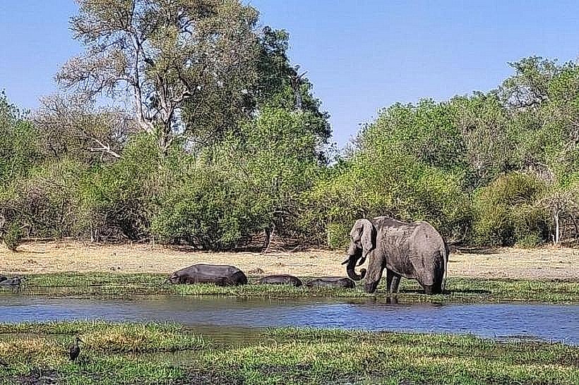 Khwai River Concession