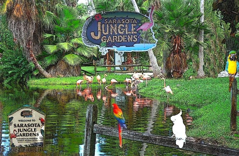 Sarasota Jungle Gardens