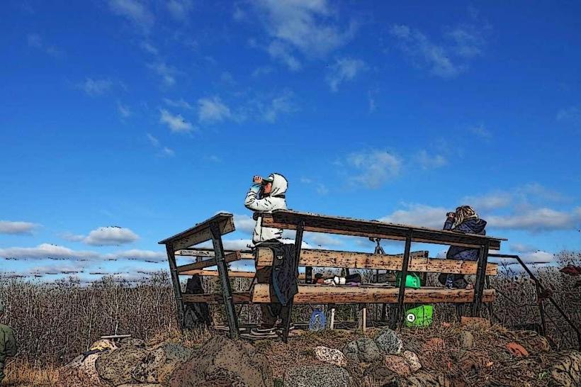 Hawk Ridge Bird Observatory
