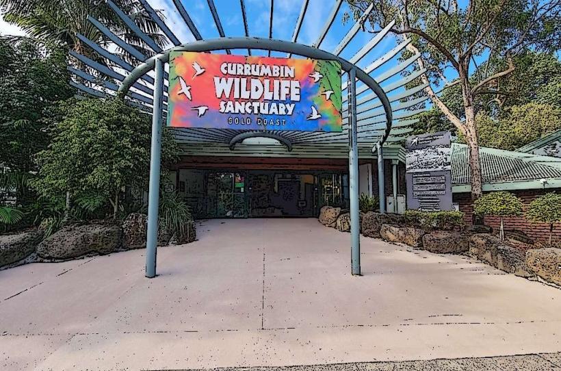 Currumbin Wildlife Sanctuary