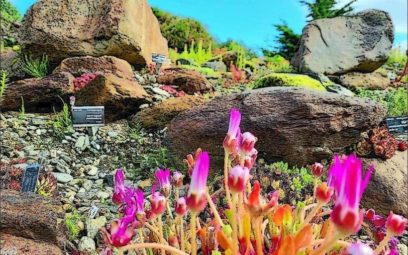 Arctic-Alpine Botanic Garden