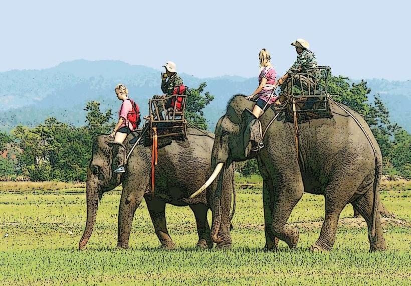 Buon Don Elephant Village
