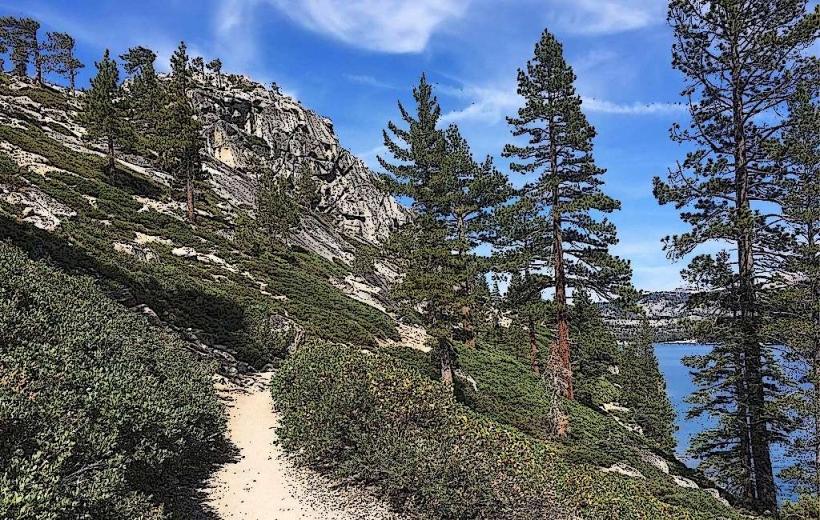 Tahoe Rim Trail