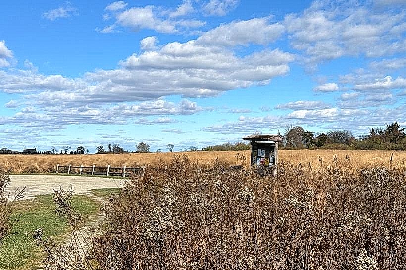 Seapowet Marsh Preserve