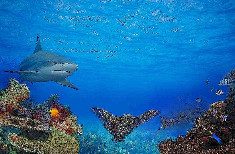 Acuario de Guayaquil