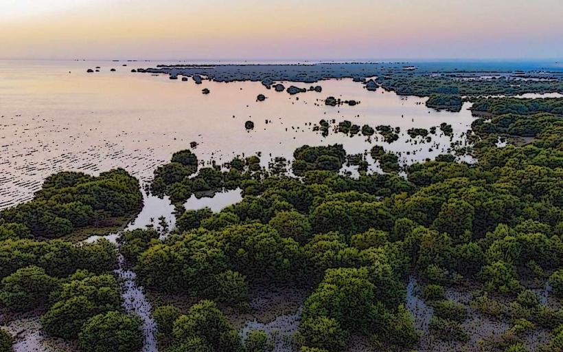 Al Zorah Nature Reserve