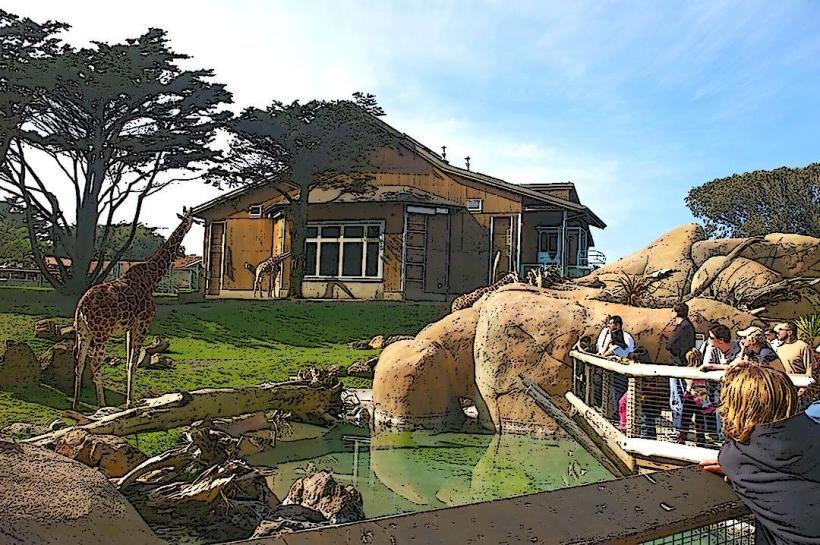 San Francisco Zoo