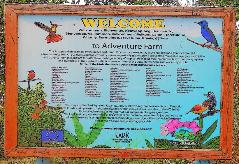 Adventure Farm and Nature Reserve