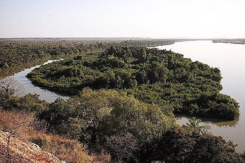 Gambia River Banks