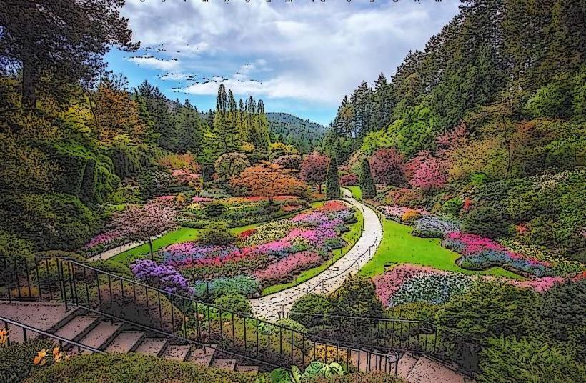Butchart Gardens