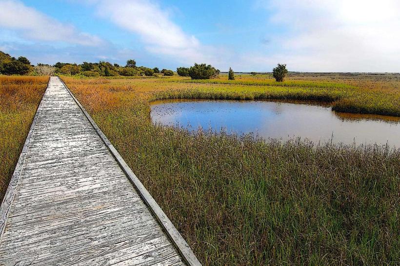 Fort Fisher State Recreation Area