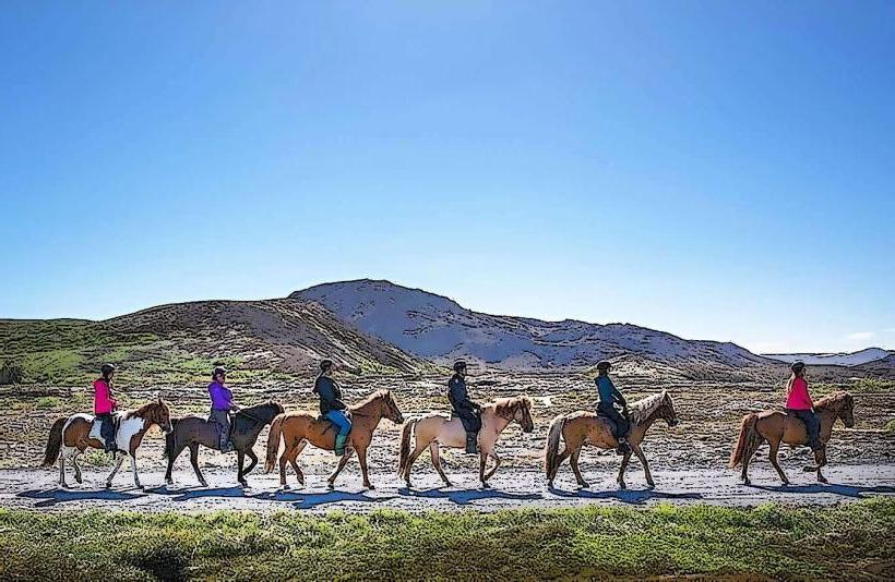 Icelandic Equestrian Center