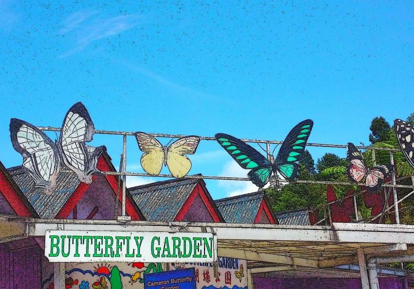 Cameron Highlands Butterfly Garden