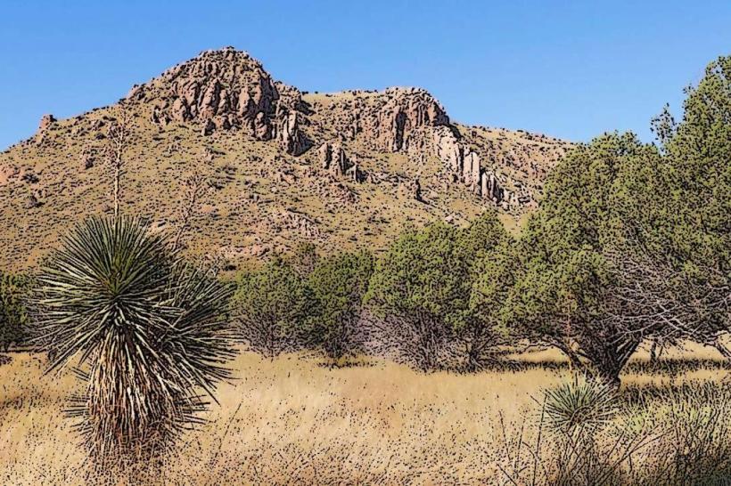 Bonita Creek Trailhead