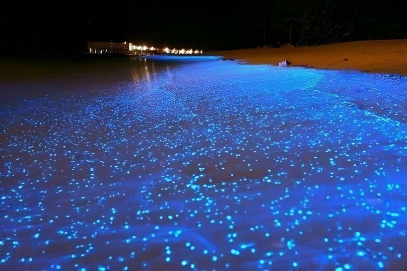 Glistening Waters Luminous Lagoon