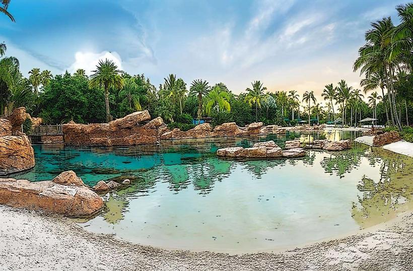 Discovery Cove