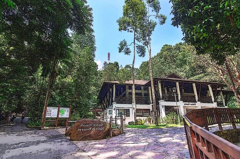 Bukit Timah Nature Reserve