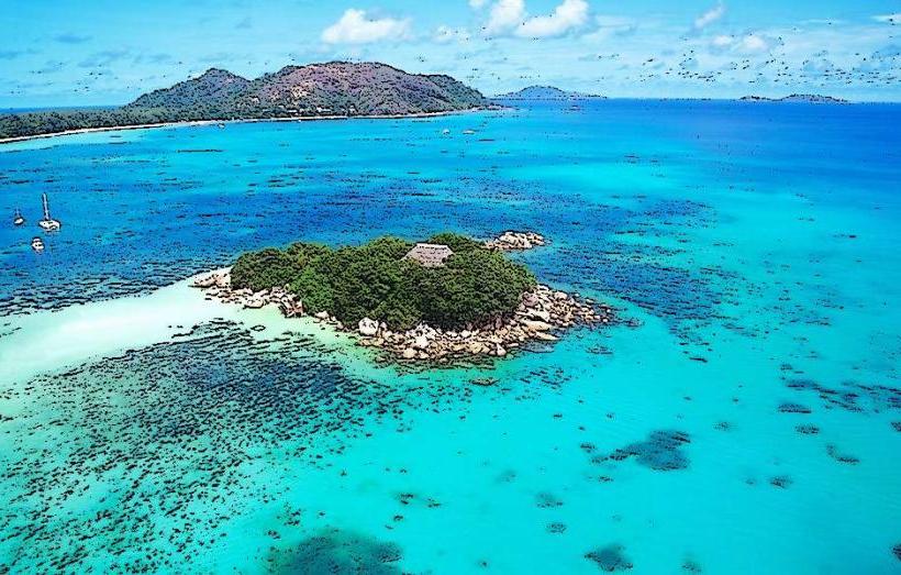 Chauve Souris Island