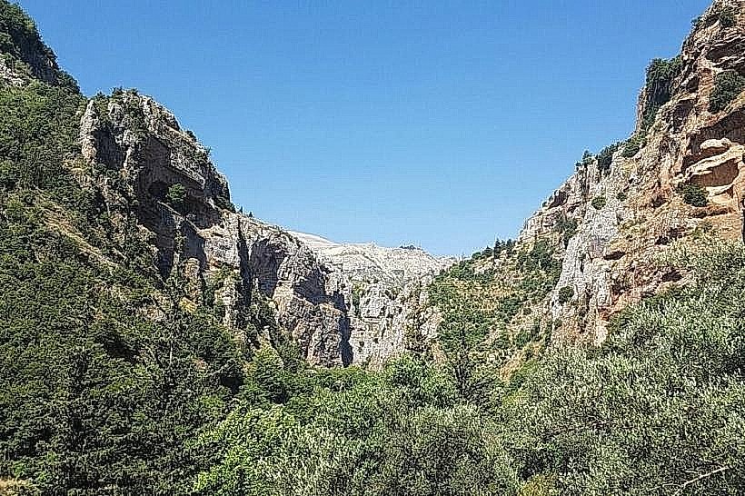Horsh Ehden Nature Reserve