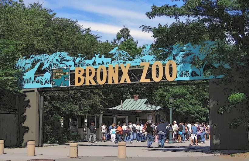 Bronx Zoo