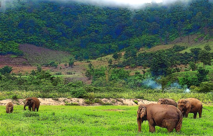 Lumphat Wildlife Sanctuary