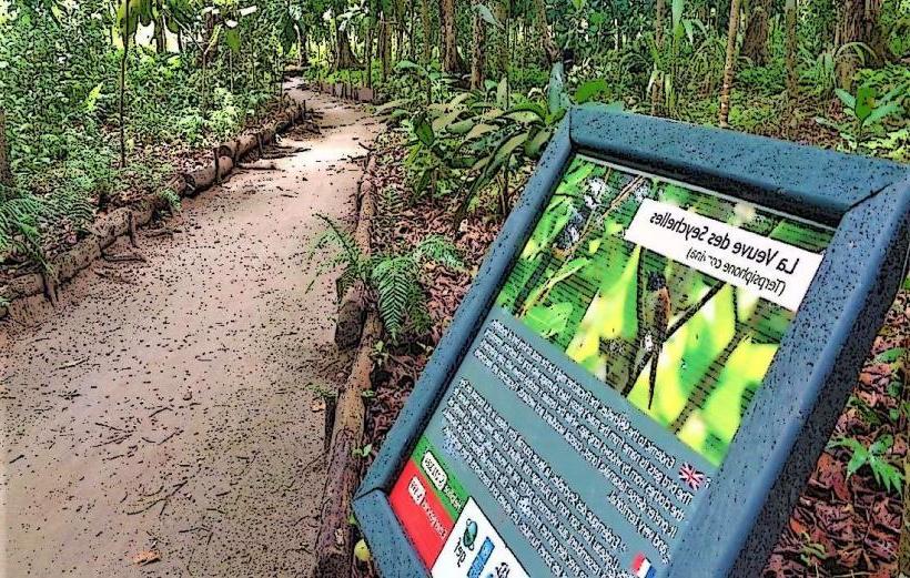 La Veuve Special Reserve