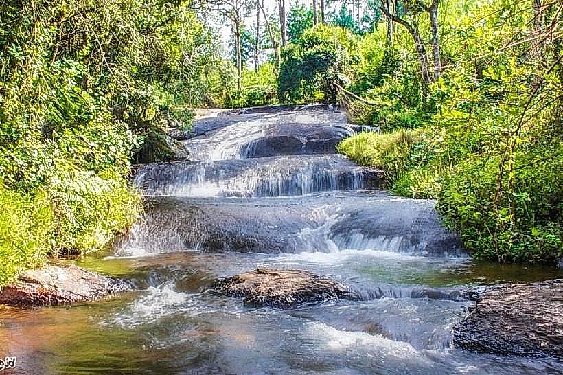 Williams Falls