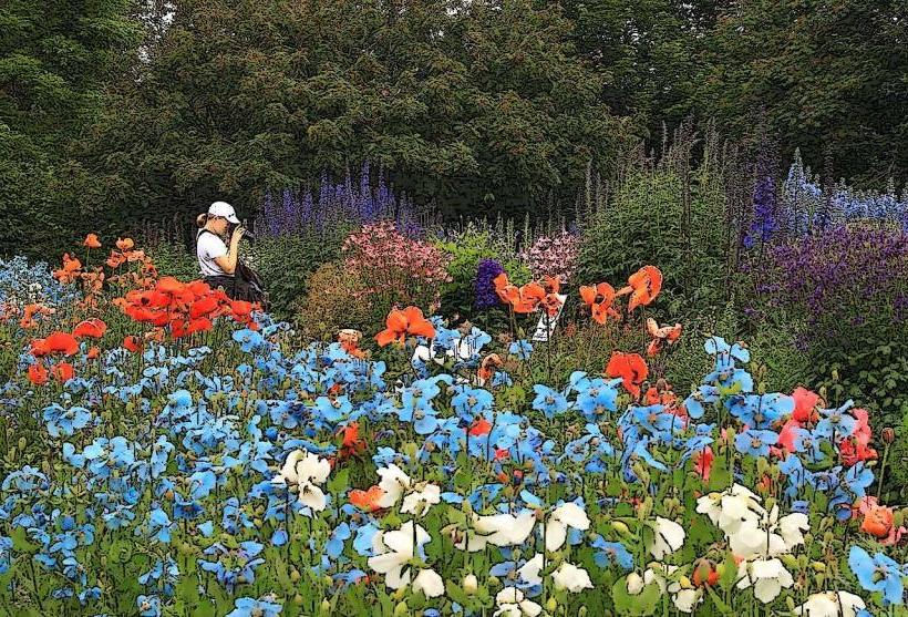 University of Iceland Botanical Garden