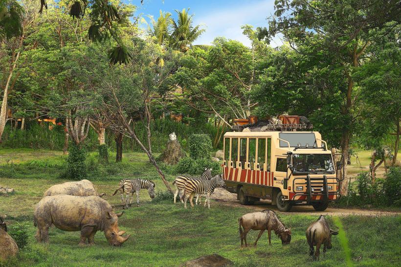 Bali Safari and Marine Park