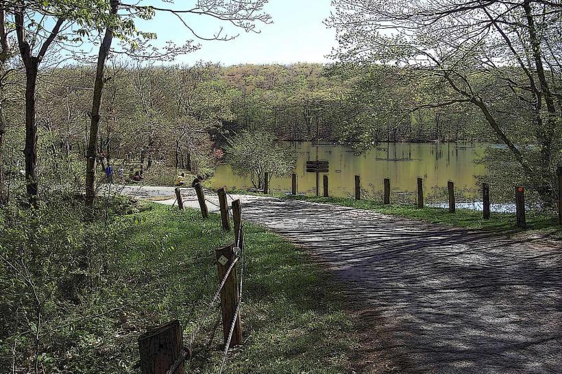 Pittsfield State Forest