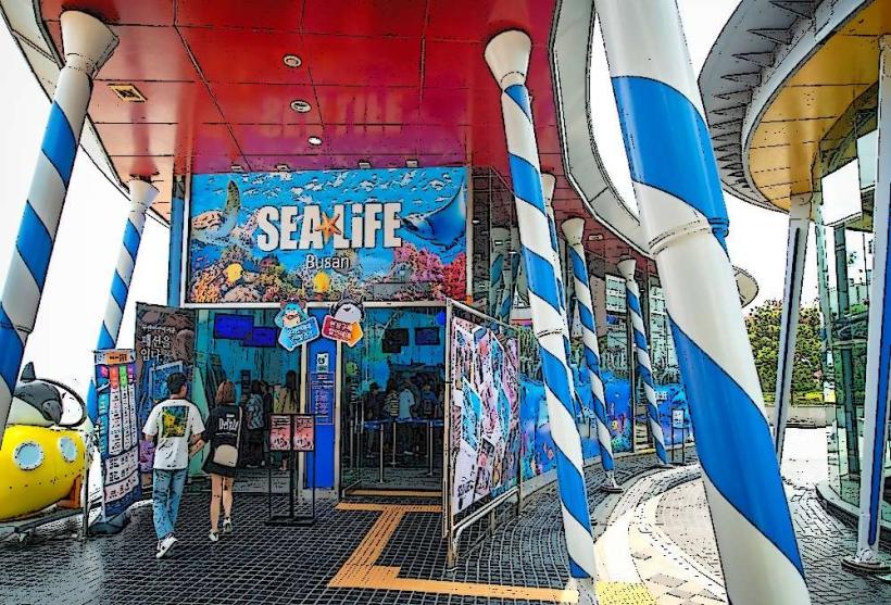 Busan Aquarium