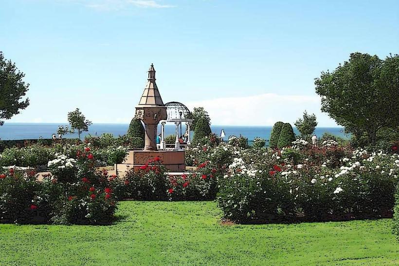 Duluth Rose Garden