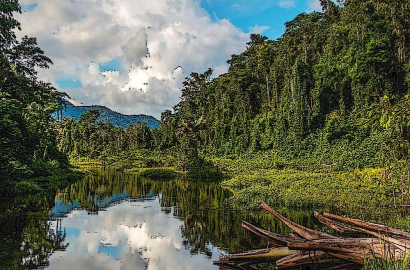 Your Gateway to the Amazon Rainforest and Manu National Park