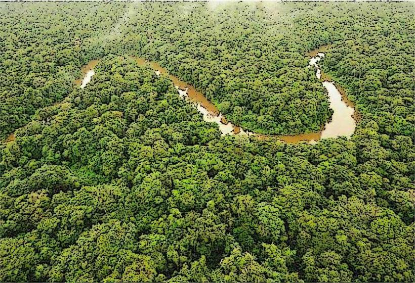 Guiana Amazonian Park Reserve
