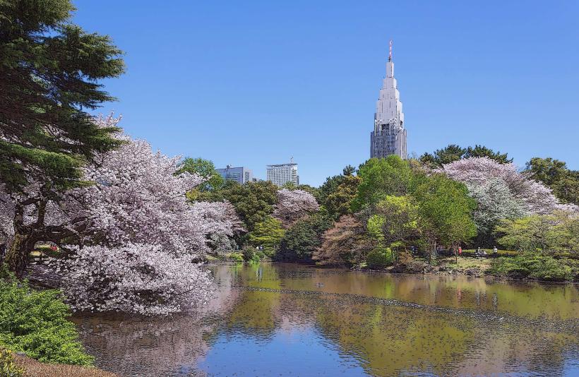 Shinjuku Gyoen National Garden