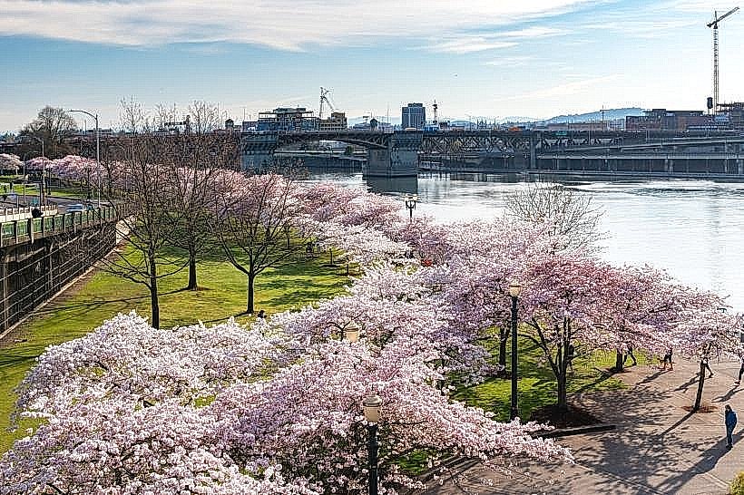 Tom McCall Waterfront Park