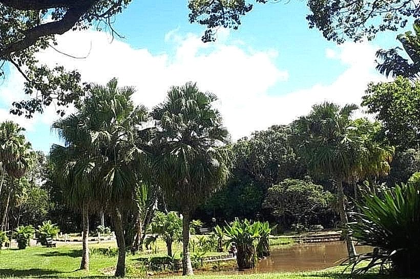 Curepipe Botanic Gardens